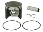 Spi Polaris 800 Piston SM-09279. Fixed Price $73.43.