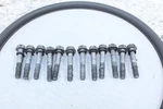 2019 Arctic Cat M8000 Mountain Alpha One 165 Cylinder Head Bolts 0923-012. Fixed Price $19.00.