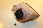 2018 Ski-doo Freeride 850 165IN Oil Tank Bottle Reservoir 519000328. Fixed Price $58.49.