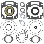 Vertex Complete Gasket Set With Oil Seals Arctic Cat Zl 550 Esr (2000-2002). Fixed Price $61.29.
