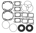 Winderosa Complete Professional Engine Gasket Set 711210 Kit 711-210 G248. Fixed Price $48.05.