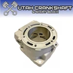 Replated 2020-2024 Arctic Cat Cylinder 1904-011 M8000 XF8000 0904-033A 1B3H3. Fixed Price $569.99.