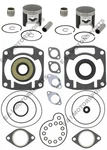Arctic Bearcat 550 Spi Pistons Gasket Kit Bearings Crank Seals Std 1995 1996. Fixed Price $209.88.