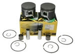 Arctic Cat 600, 2000-2002, Pro-x Pistons & Wrist Pin Bearings. Fixed Price $174.96.
