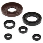 Winderosa Oil Seal Set Fits: Honda TRX500FE Foreman 4X4 Es Sra ,TRX500FPE. Fixed Price $44.22.