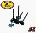 Yamaha Raptor 700 +2MM Replacement Kibblewhite Intake Exhaust Valves Seals Kit. Fixed Price $135.18.