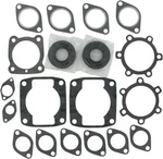 Vertex Gasket Set With Oil Seal For 1977-1978 Arctic Cat Panther 5000. Fixed Price $42.62.