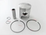 For Snowmobile Arctic Cat Pantera/zrt 800 Piston Kit 09-602 3004-762 Std + Ring. Fixed Price $57.66.