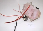 2013 Ski-doo Freeride 800 Etec 146" Xp Oil Tank Bottle Pump 519000281 519000376. Fixed Price $124.95.