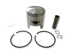 Piston Kit Std 09-696 3005-473 + Ring For Arctic Bearcat, Panther, Jag 440. Fixed Price $73.22.