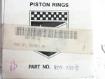Ring Set For Polaris 340 R09-709-2. Fixed Price $9.99.