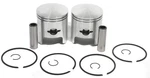Arctic Cat Panther 440, 1984-2002, Std Bore Pistons. Fixed Price $139.99.