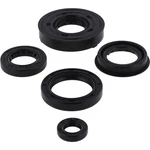 Vertex Oil Seal Kit For Ski-doo Tnt Fa 346 1973-1978. Fixed Price $15.78.