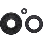 Vertex Engine Oil Seal Kit 55203. Fixed Price $24.66.