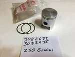 Nos Polaris Piston & Rings Vintage 77 Colt 250 Ss 78 79 80 81 82 Gemini. Fixed Price $42.00.
