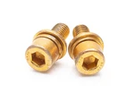 Polaris Sportsman Ranger Rzr 700 800 Fuel Injector Rail Bolts (pair) - 7516730. Fixed Price $7.95.