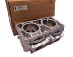 Brand New Oem 2010 Polaris 800 Cylinder Rmk Pro Assault Dragon 3022201. Fixed Price $799.99.