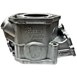 Plated Ski-doo 600 Ho E-tec Cylinder Mxz Tnt 2009 420623260. Fixed Price $377.99.