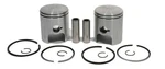 Ski-doo Tnt 294, 1973, Std Bore Pistons Pair. Fixed Price $72.99.