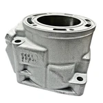 New Plated Oem Arctic 96B1 700CC Cylinder 2003-2006 Fire F7 Sabercat M7. Fixed Price $585.99.