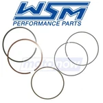 Wsm Set For 2017-2018 Yamaha EX1050 Engine Pistons Zu. Fixed Price $53.11.