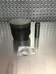 Polaris Piston 2205176 2208214 3023559 3022862 3022518 30222312 3022266 T380. Fixed Price $319.99.