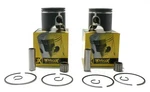 Ski-doo Summit 600R E-tec Sp, 2019-2020, Pro-x Pistons W/ Bearings. Fixed Price $189.98.