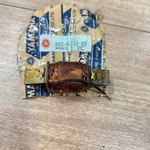 Yamaha Oem Nos Charge Coil / 802-81342-20-00 Snowmobile S351 SL351. Fixed Price $10.00.
