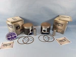 Arctic Spi Pistons Replaces Oem 3006-499 F7 Firecat Sabercat M7 Crossfire. Fixed Price $184.99.