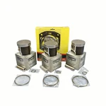 81MM Std Spi Pistons Top End Gaskets 99-01 Arctic 1000 Pantera Thundercat. Fixed Price $324.99.