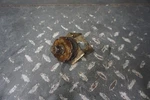 1995 Mach 670 Ski-doo Snowmobile Oem Engine Motor Mount Support Bracket. Fixed Price $29.97.