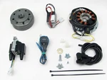 Powerdynamo Vape Ignition Sys Stator For Yamaha 250 350 400 Bolttoflywheel Dc. Fixed Price $623.63.