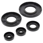 Winderosa - 55105 Crankcase Oil Seal Kit. Fixed Price $20.00.