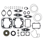 Complete Gasket Kit Fits Arctic Cat Zr 440 Snow Pro 2002 2006 By Race-driven. Fixed Price $39.55.