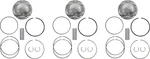 Wossner K7509DA-3 Piston Kit For Ski-doo Expedition Sport 900 Ace W/154" Tra. Fixed Price $410.40.