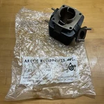 Kitty Cat Snowmobile Kawasaki Engine New Cylinder 1973 Arctic 3000-978. Fixed Price $199.95.