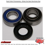 Balls Chain Case Bearing & Seal Kit Honda CH80 Elite 1996-1996 Ski-doo. Fixed Price $45.00.