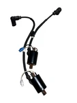 Pair Ignition Coils Pto 4014009 Mag 4014010 2014 Polaris Switchback Assault 800. Fixed Price $10.00.