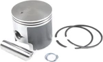Polaris 3085873 3085018 3085432 Piston With Ring. Fixed Price $59.99.