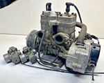 Oem 1980 Arctic Cat El Tigre 6000 500CC Engine Motor Assembly 0662-025. Fixed Price $649.99.