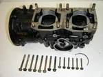 91 92 94 Arctic Cat 440 Prowler Pantera Cheetah Cougar Motor Engine Crank Case. Fixed Price $149.99.