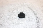 2001 Polaris 500 Classic Oem Motor Mount 5411685 Q4170. Fixed Price $9.99.