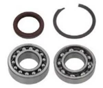 Spi Chaincase Bearing Kit SM-03213. Fixed Price $42.95.
