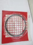New Genuine Arctic Cat Oem Piston Ring Set 3005-865. Fixed Price $44.99.