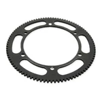 Arctic Cat Treated Electric Start Ring Gear, 0745-402. Fixed Price $157.95.