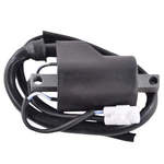 Ignition Coil For Polaris 600 800 Pro Rmk / Switchback Sks 2005-2024 4017656. Fixed Price $33.49.