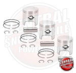 3X Piston Kits Arctic Cat 800 Zrt Pantera 95-01 Snowmobile 72MM (std) 3004-762. Fixed Price $199.95.