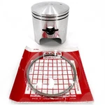 Arctic * Piston Assy W/ Rings 3005-228 1991-1993 Wildcat. Fixed Price $204.75.