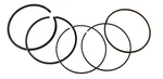 Namura Standard Bore Piston Rings Fits Polaris Hawkeye & Sportsman 300 77.7MM. Fixed Price $18.95.