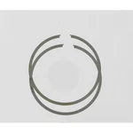 Parts Unlimited Piston Rings 68.25MM Bore 0912-0082. Fixed Price $15.25.